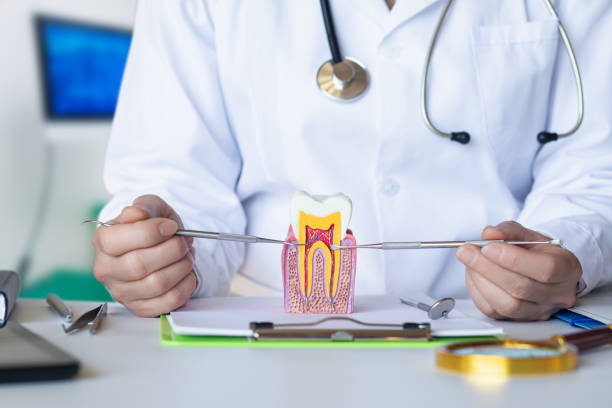 Best Cracked Tooth Emergency Dentist  in Grove City, OH